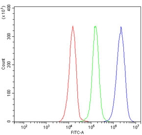 Flow cytometry testing of human JK-1 cells with VLDL Receptor antibody at 1ug/million cells (blocked with goat sera); Red=cells alone, Green=isotype control, Blue= VLDL Receptor antibody.