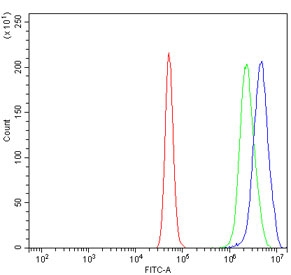 Flow cytometry testing of human A431 cells with Argonaute 1 antibody at 1ug/million cells (blocked with goat sera); Red=cells alone, Green=isotype control, Blue= Argonaute 1 antibody.