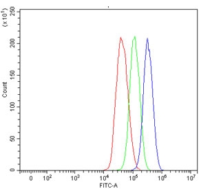 Flow cytometry testing of human HepG2 cells with Aldehyde Dehydrogenase 1A1 antibody at 1ug/million cells (blocked with goat sera); Red=cells alone, Green=isotype control, Blue= Aldehyde Dehydrogenase 1A1 antibody.