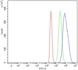 Flow cytometry testing of human HepG2 cells with CDT1 antibody at 1ug/million cells (blocked with goat sera); Red=cells alone, Green=isotype control, Blue= CDT1 antibody.