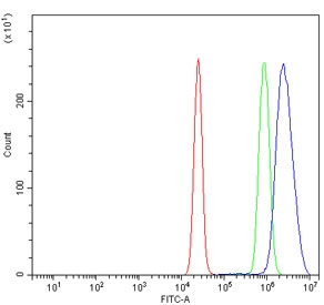 Flow cytometry testing of fixed and permeabilized human K562 cells with Prospero homeobox protein 1 antibody at 1ug/million cells (blocked with goat sera); Red=cells alone, Green=isotype control, Blue= Prospero homeobox protein 1 antibody.