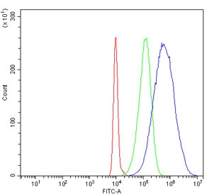 Flow cytometry testing of human HL60 cells with HSP75 antibody at 1ug/million cells (blocked with goat sera); Red=cells alone, Green=isotype control, Blue= HSP75 antibody.