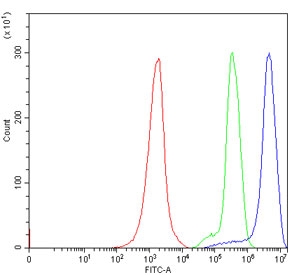 Flow cytometry testing of human Jurkat cells with ATG4B antibody at 1ug/million cells (blocked with goat sera); Red=cells alone, Green=isotype control, Blue= ATG4B antibody.