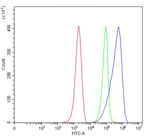 Flow cytometry testing of mouse ANA-1 cells with CD80 antibody at 1ug/million cells (blocked with goat sera); Red=cells alone, Green=isotype control, Blue= CD80 antibody.