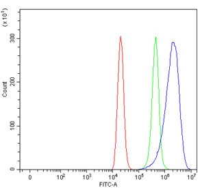 Flow cytometry testing of human ThP-1 cells with AMCase antibody at 1ug/million cells (blocked with goat sera); Red=cells alone, Green=isotype control, Blue= AMCase antibody.