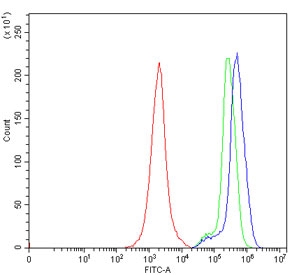 Flow cytometry testing of human Jurkat cells with GAS2 antibody at 1ug/million cells (blocked with goat sera); Red=cells alone, Green=isotype control, Blue= GAS2 antibody.