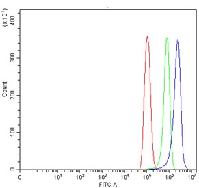 Flow cytometry testing of human PC-3 cells with GJB2 antibody at 1ug/million cells (blocked with goat sera); Red=cells alone, Green=isotype control, Blue= GJB2 antibody.