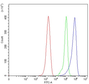 Flow cytometry testing of mouse ANA-1 cells with Mavs antibody at 1ug/million cells (blocked with goat sera); Red=cells alone, Green=isotype control, Blue= Mavs antibody.