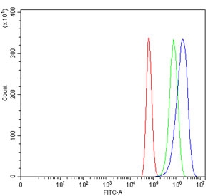Flow cytometry testing of human U-87 MG cells with Ribonucleotide Reductase M1 antibody at 1ug/million cells (blocked with goat sera); Red=cells alone, Green=isotype control, Blue= Ribonucleotide Reductase M1 antibody.