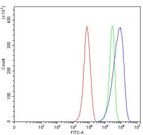 Flow cytometry testing of mouse RAW264.7 cells with Aim2 antibody at 1ug/million cells (blocked with goat sera); Red=cells alone, Green=isotype control, Blue= Aim2 antibody.