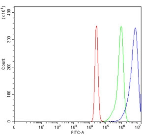 Flow cytometry testing of human K562 cells with Caspase-8 antibody at 1ug/million cells (blocked with goat sera); Red=cells alone, Green=isotype control, Blue= Caspase-8 antibody.
