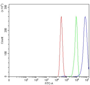 Flow cytometry testing of human MCF7 cells with HCN4 antibody at 1ug/million cells (blocked with goat sera); Red=cells alone, Green=isotype control, Blue= HCN4 antibody.