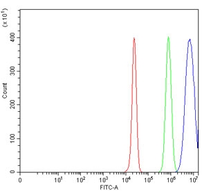 Flow cytometry testing of human HepG2 cells with ICAM1 antibody at 1ug/million cells (blocked with goat sera); Red=cells alone, Green=isotype control, Blue= ICAM1 antibody.
