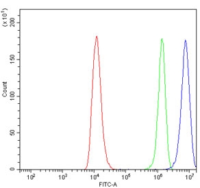 Flow cytometry testing of human RT4 cells with ALDH3 antibody at 1ug/million cells (blocked with goat sera); Red=cells alone, Green=isotype control, Blue= ALDH3 antibody.