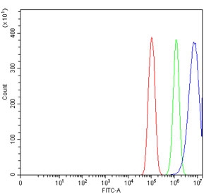 Flow cytometry testing of human PC-3 cells with Positive cofactor 4 antibody at 1ug/million cells (blocked with goat sera); Red=cells alone, Green=isotype control, Blue= Positive cofactor 4 antibody.