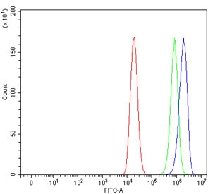 Flow cytometry testing of human Caco-2 cells with Aquaporin 11 antibody at 1ug/million cells (blocked with goat sera); Red=cells alone, Green=isotype control, Blue= Aquaporin 11 antibody.