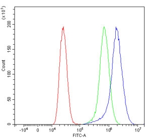 Flow cytometry testing of human MCF7 cells with TTPA antibody at 1ug/million cells (blocked with goat sera); Red=cells alone, Green=isotype control, Blue= TPPA antibody.