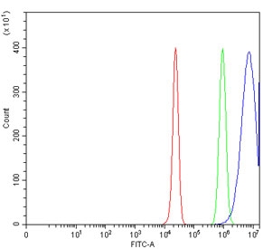 Flow cytometry testing of human HepG2 cells with ACAT2 antibody at 1ug/million cells (blocked with goat sera); Red=cells alone, Green=isotype control, Blue= ACAT2 antibody.