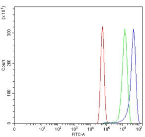 Flow cytometry testing of human U-87 MG cells with ADAM8 antibody at 1ug/million cells (blocked with goat sera); Red=cells alone, Green=isotype control, Blue= ADAM8 antibody.