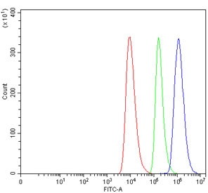 Flow cytometry testing of human HEL cells with CD28 antibody at 1ug/million cells (blocked with goat sera); Red=cells alone, Green=isotype control, Blue= CD58 antibody.