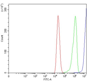 Flow cytometry testing of human Caco-2 cells with CD171 antibody at 1ug/million cells (blocked with goat sera); Red=cells alone, Green=isotype control, Blue= CD171 antibody.