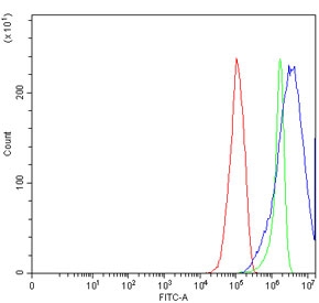 Flow cytometry testing of human RT4 cells with BBS8 antibody at 1ug/million cells (blocked with goat sera); Red=cells alone, Green=isotype control, Blue= BBS8 antibody.