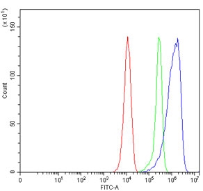 Flow cytometry testing of mouse RAW264.7 cells with Sept8 antibody at 1ug/million cells (blocked with goat sera); Red=cells alone, Green=isotype control, Blue= Sept8 antibody.