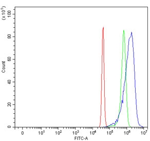 Flow cytometry testing of human SiHa cells with Fibroblast activation protein alpha antibody at 1ug/million cells (blocked with goat sera); Red=cells alone, Green=isotype control, Blue= Fibroblast activation protein alpha antibody.