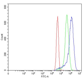 Flow cytometry testing of human MCF7 cells with TYK2 antibody at 1ug/million cells (blocked with goat sera); Red=cells alone, Green=isotype control, Blue= TYK2 antibody.