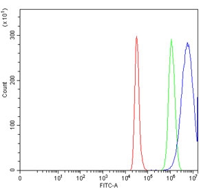 Flow cytometry testing of human Caco-2 cells with AREG antibody at 1ug/million cells (blocked with goat sera); Red=cells alone, Green=isotype control, Blue= AREG antibody.