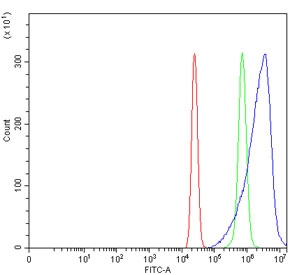 Flow cytometry testing of human U-2 OS cells with ACSS2 antibody at 1ug/million cells (blocked with goat sera); Red=cells alone, Green=isotype control, Blue= ACSS2 antibody.