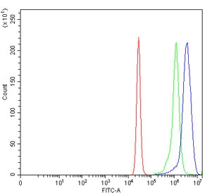 Flow cytometry testing of human K562 cells with BAG2 antibody at 1ug/million cells (blocked with goat sera); Red=cells alone, Green=isotype control, Blue= BAG2 antibody.