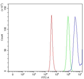 Flow cytometry testing of human HepG2 cells with 17-beta-HSD 3 antibody at 1ug/million cells (blocked with goat sera); Red=cells alone, Green=isotype control, Blue= 17-beta-HSD 3 antibody.