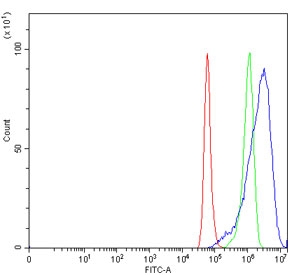 Flow cytometry testing of human A549 cells with VPS41 antibody at 1ug/million cells (blocked with goat sera); Red=cells alone, Green=isotype control, Blue= VPS41 antibody.