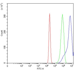 Flow cytometry testing of human U-2 OS cells with ADAMTS9 antibody at 1ug/million cells (blocked with goat sera); Red=cells alone, Green=isotype control, Blue= ADAMTS9 antibody.