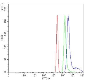Flow cytometry testing of human HL60 cells with WDR12 antibody at 1ug/million cells (blocked with goat sera); Red=cells alone, Green=isotype control, Blue= WDR12 antibody.