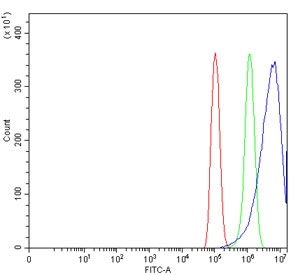 Flow cytometry testing of human PC-3 cells with Retinol dehydrogenase 10 antibody at 1ug/million cells (blocked with goat sera); Red=cells alone, Green=isotype control, Blue= Retinol dehydrogenase 10 antibody.