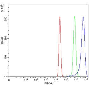 Flow cytometry testing of human U-2 OS cells with Rho-associated protein kinase 1 antibody at 1ug/million cells (blocked with goat sera); Red=cells alone, Green=isotype control, Blue= Rho-associated protein kinase 1 antibody.