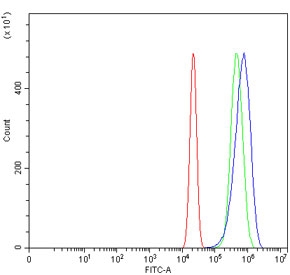 Flow cytometry testing of human U-2 OS cells with SLC3A1 antibody at 1ug/million cells (blocked with goat sera); Red=cells alone, Green=isotype control, Blue= SLC3A1 antibody.