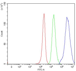 Flow cytometry testing of human 293T cells with PCH2 antibody at 1ug/million cells (blocked with goat sera); Red=cells alone, Green=isotype control, Blue= PCH2 antibody.