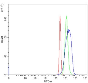 Flow cytometry testing of human HepG2 cells with ACSM3 antibody at 1ug/million cells (blocked with goat sera); Red=cells alone, Green=isotype control, Blue= ACSM3 antibody.