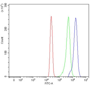 Flow cytometry testing of human HL60 cells with SDCCAG3 antibody at 1ug/million cells (blocked with goat sera); Red=cells alone, Green=isotype control, Blue= SDCCAG3 antibody.