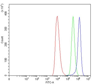 Flow cytometry testing of human HEL cells with TREML2 antibody at 1ug/million cells (blocked with goat sera); Red=cells alone, Green=isotype control, Blue= TREML2 antibody.
