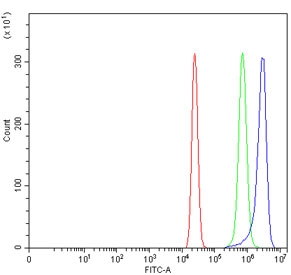 Flow cytometry testing of human U-2 OS cells with WIPF3 antibody at 1ug/million cells (blocked with goat sera); Red=cells alone, Green=isotype control, Blue= WIPF3 antibody.