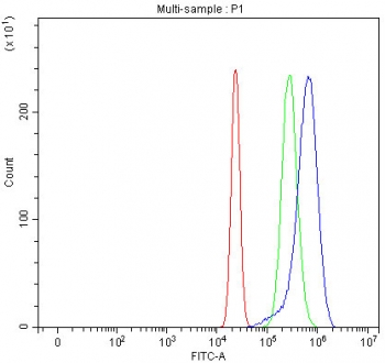 Flow cytometry testing of human U-2 OS cells with Activated CDC42 kinase 1 antibody at 1ug/million cells (blocked with goat sera); Red=cells alone, Green=isotype control, Blue= Activated CDC42 kinase 1 antibody.