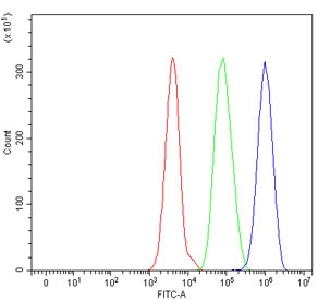 Flow cytometry testing of human HepG2 cells with CAT2 antibody at 1ug/million cells (blocked with goat sera); Red=cells alone, Green=isotype control, Blue= CAT2 antibody.