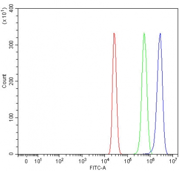 Flow cytometry testing of human HepG2 cells with RIOK3 antibody at 1ug/million cells (blocked with goat sera); Red=cells alone, Green=isotype control, Blue= RIOK3 antibody.