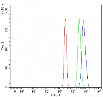 Flow cytometry testing of human HepG2 cells with TMEM104 antibody at 1ug/million cells (blocked with goat sera); Red=cells alone, Green=isotype control, Blue= TMEM104 antibody.