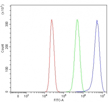 Flow cytometry testing of human HepG2 cells with Girdin antibody at 1ug/million cells (blocked with goat sera); Red=cells alone, Green=isotype control, Blue= Girdin antibody.