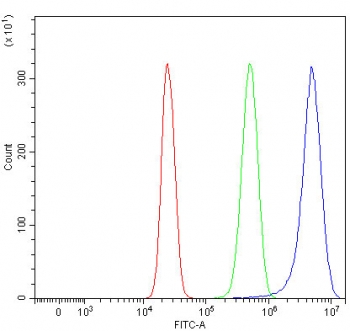 Flow cytometry testing of human HepG2 cells with RHBDF2 antibody at 1ug/million cells (blocked with goat sera); Red=cells alone, Green=isotype control, Blue= RHBDF2 antibody.